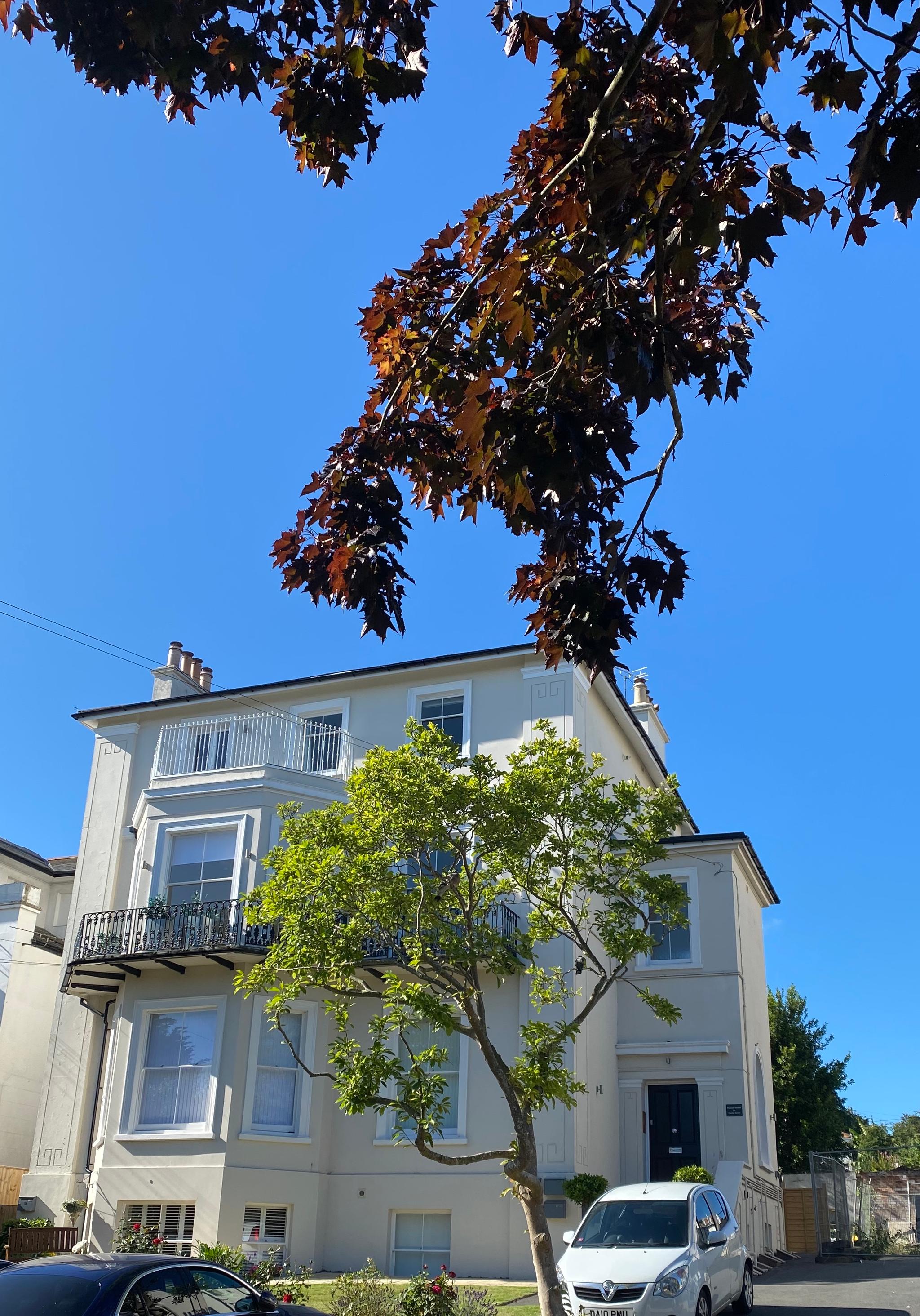 Serene in Ryde1